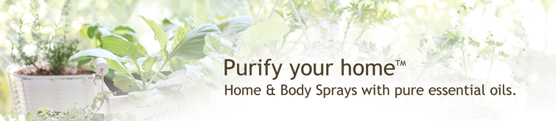 Purify Your Home