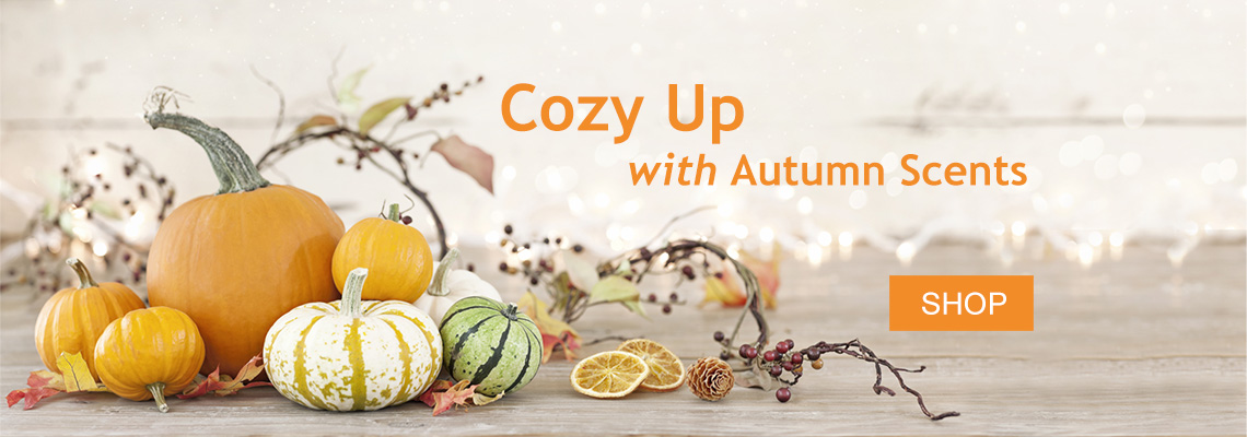 Cozy Up
