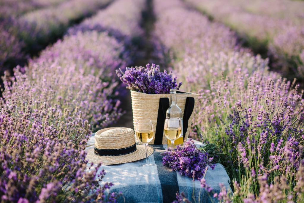 Tour a Real Perfumery