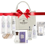 Sunset's Ultimate Gift-Giver's Pick